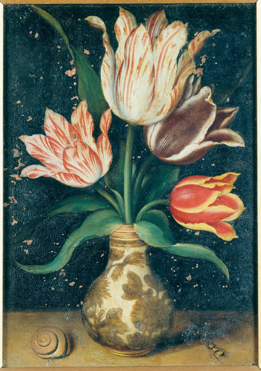 Il Vecchio - Tulipani in vaso di porcellana